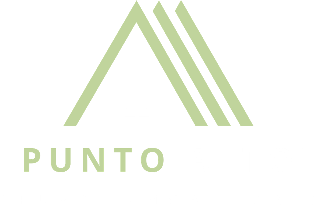 Punto Alto, Grupo Inmobiliario